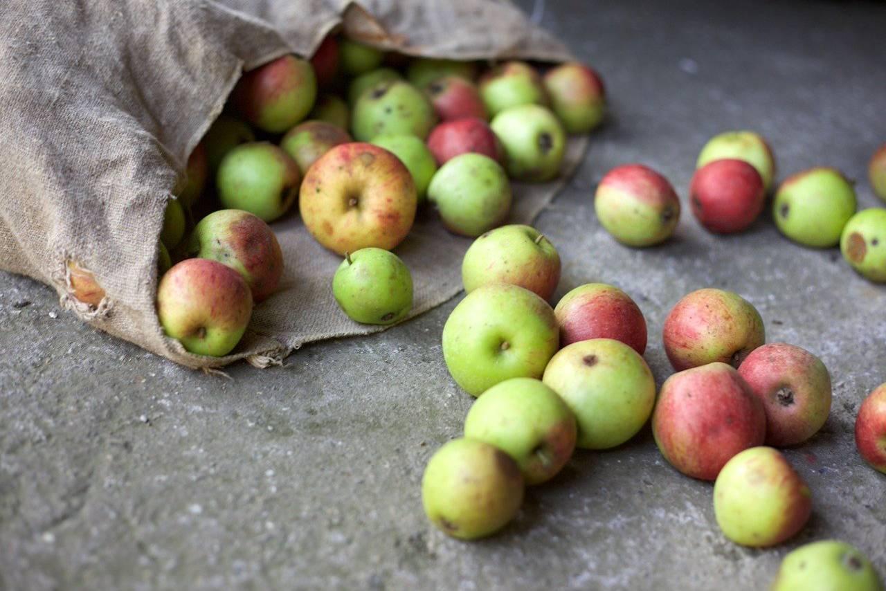 types-of-food-spoilage-1611009661-6017.png