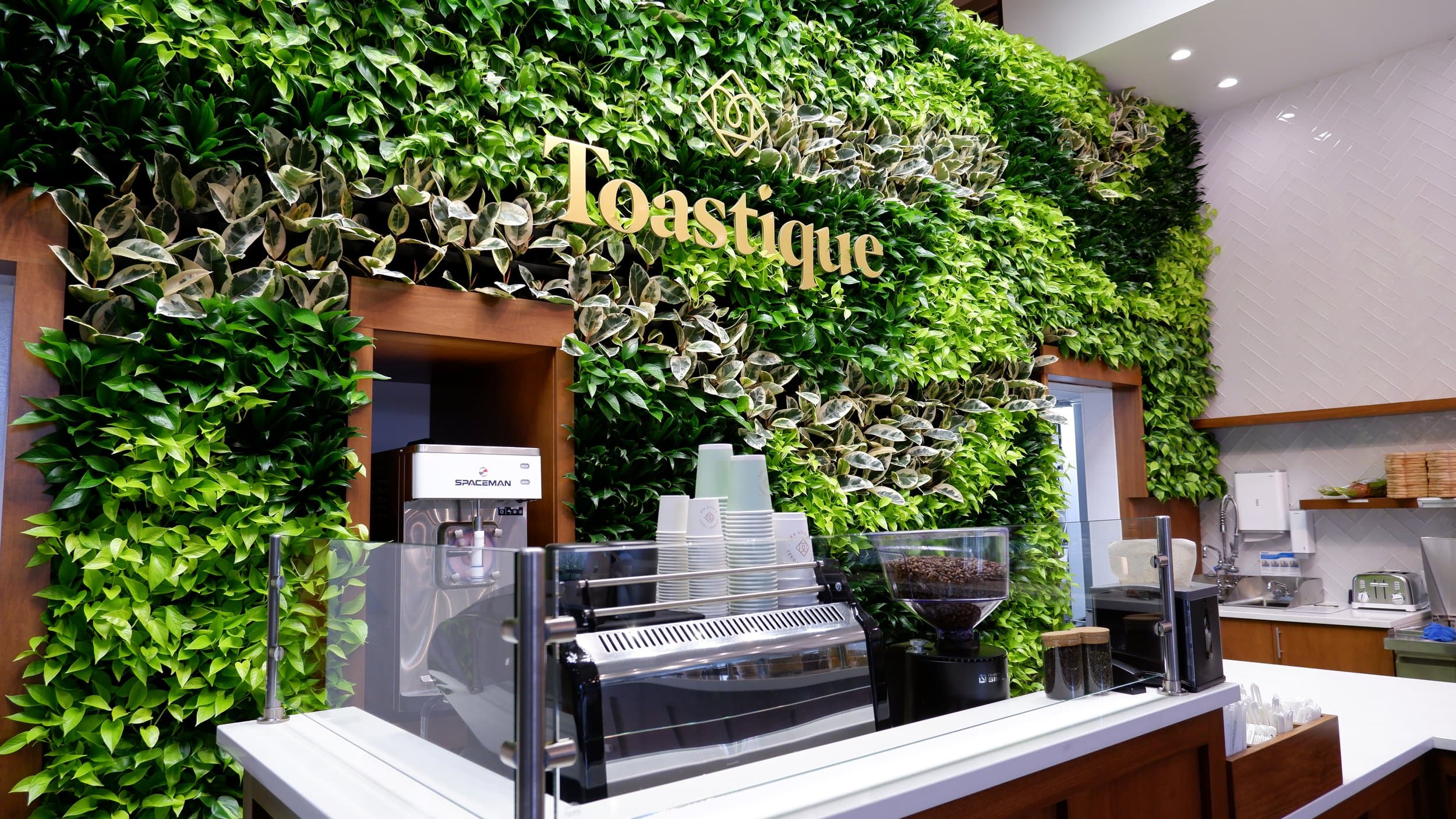 Discover the gourmet toast, smoothie bowls, cold-pressed juices, and coffee offerings at Toastique in New York. Learn about the health-focused menu with responsibly sourced ingredients.