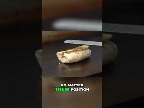 chipotles-secret-to-success-elevating-customer-experience
