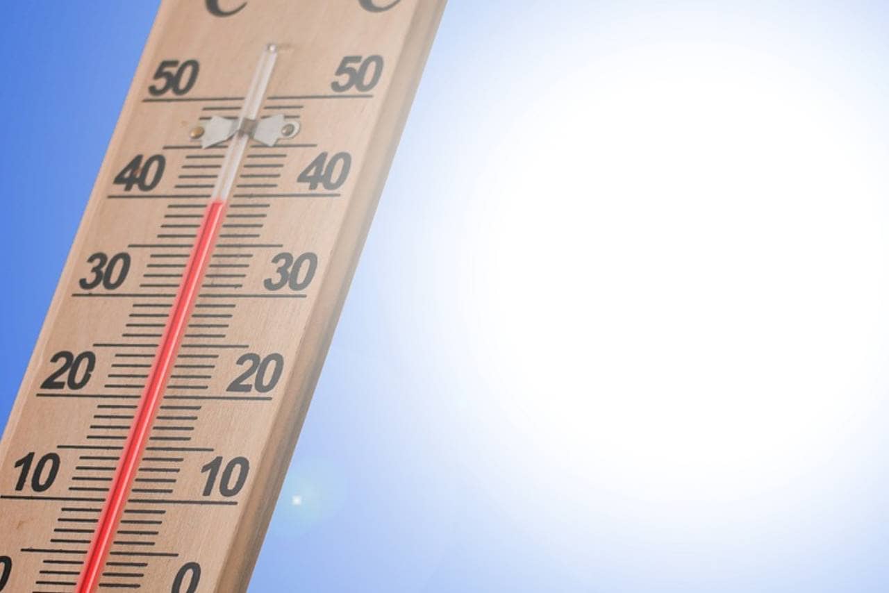 a-comprehensive-guide-to-buying-the-right-food-thermometer-1651523100-5496.png