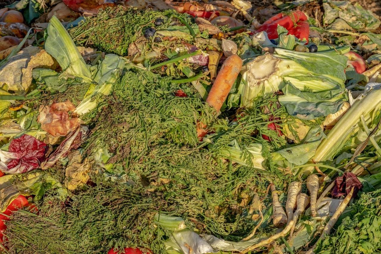 Cut down food loss by joining food donation programs