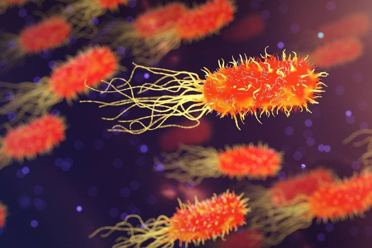 major-foodborne-illness-outbreaks-1604026796-5759.png