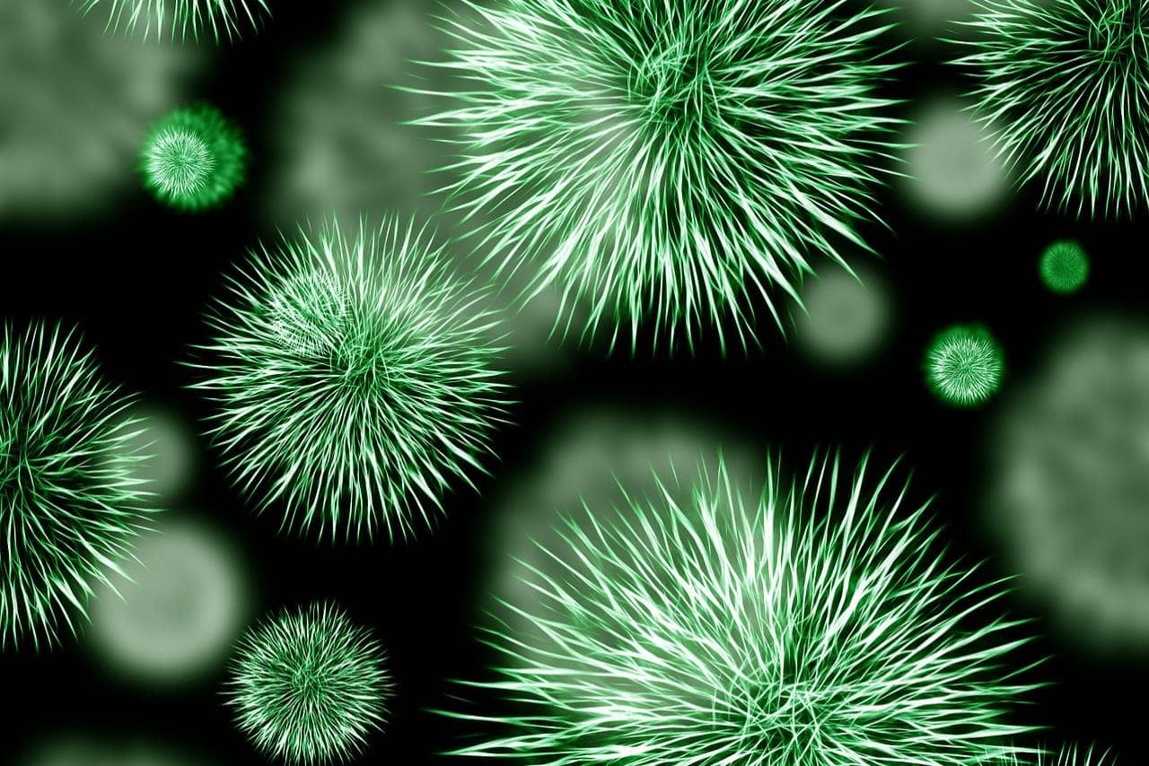 types-of-foodborne-illness-1604026796-7756.png